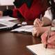 New congressional report lends credibility to end-of-life provision in House reform bill New congressional report lends credibility to end-of-life provision in House reform bill